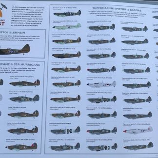 Battle Of Britain Flypast Day 2015: A1 Poster